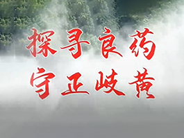 dcbox小金库(中国区)官方网站