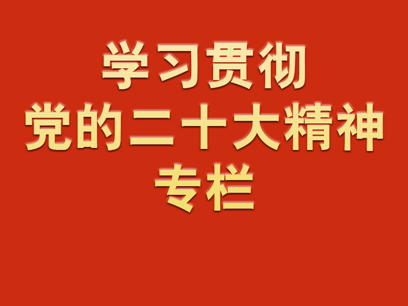 dcbox小金库(中国区)官方网站